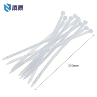 值盾 ZSYDON 扎带 5*300mm包