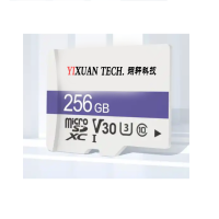 翊轩科技 YX-TFP100-256GB 256高速存储卡