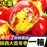正宗陕西冬枣5斤大枣子新鲜当季水果脆枣鲜枣甜枣青奶枣整箱