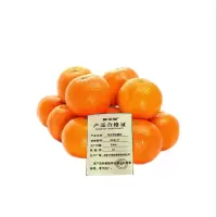 新全新砂糖桔500克/份