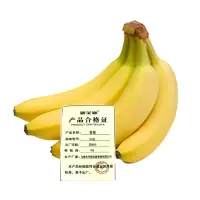 新全新香蕉500克/份