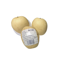 新全新连州水晶梨500克/份