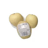 新全新连州水晶梨500克/份