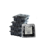 新全新蓝莓100克*5盒/份