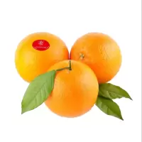 艾提尕橙子5公斤/箱