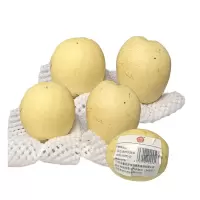 艾提尕连州水晶梨500克/份