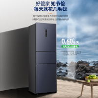 新飞(FRESTEC) 223升 三门风冷无霜冰箱家用小型节能双门三门冰箱 BCD-223WK3DT