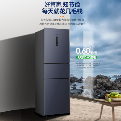 新飞(FRESTEC) 223升 三门风冷无霜冰箱家用小型节能双门三门冰箱 BCD-223WK3DT