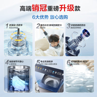 海尔(Haier)10公斤 波轮洗衣机 变频全自动 双动力系列 晶彩触控大屏 高洗净比 玻璃盖XQS100-BZ556