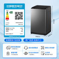 海尔 XQB80-M10E0 全自动洗衣机 波轮家用8公斤 纳米微泡超净洗 一级能效 除螨洗