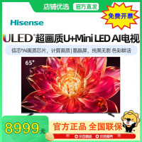 海信小墨65E5Q- Pro 65英寸超画质U+MiniLED墨晶屏 电视机E5NPRO升级款