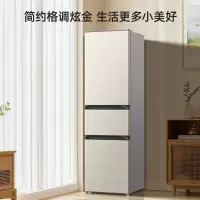离子净美菱210升双门小冰箱 49.4cm窄机身直冷微霜家用小型两门小冰箱电冰箱以旧换新自营BCD-210L3CD金色
