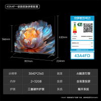 创维电视机 43A4FD