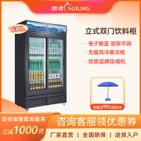 穗凌冰柜展示柜冷藏柜商用饮料柜 风冷无霜双门大容量冷柜 超市保鲜水果啤酒鲜花饮料啤酒冷藏冰箱LG4-700M2/W