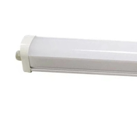 炽翼应急LED三防灯 炽翼应急LED灯具 炽翼BLC205-40W