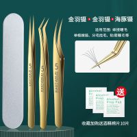 高精密镊子美睫师专用海豚金羽夹子嫁接假睫毛开花分毛通用型8138