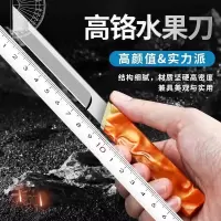 水果刀家用户外便携刀具进口切水果神器瓜果刀高硬度锋利小刀8138P