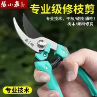 张小泉修枝剪刀果树园艺剪刀园林苗枝省力修花叶专用工具神器正品8138