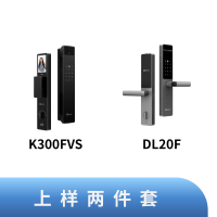 萤石 智能锁上样两件套(包含K300FVS+DL20F)