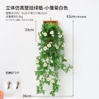 维诺亚ins风小雏菊假花仿真植物墙面装饰室内墙壁假花藤蔓电视背景遮丑
