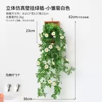 维诺亚ins风小雏菊假花仿真植物墙面装饰室内墙壁假花藤蔓电视背景遮丑