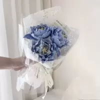 维诺亚扭扭棒芍药花束材料包手工diy见面小花束自己做节日送女友礼物