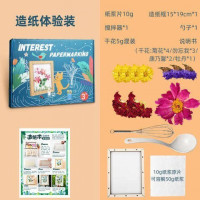 维诺亚古法造纸术套装diy手工非遗纸浆画框花草材料包儿童美术趣味实验