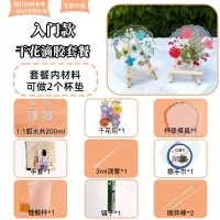 维诺亚手工diy真花水果干水晶植物滴胶模具杯垫做成品饰品环氧树脂速干