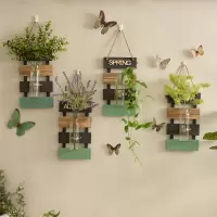 维诺亚创意壁挂墙上装饰品挂件水培植物花瓶客厅房间卧室背景墙面布置