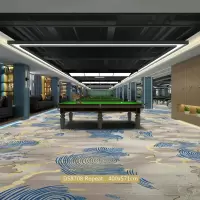 维诺亚台球厅专用满铺免洗地毯ktv酒店美容院所满铺地毯