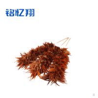 铭忆翔 鸡毛掸 长70cm 个