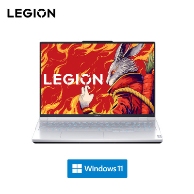 联想(Lenovo)拯救者R9000P 16英寸电竞游戏本笔记本电脑 定制(R9-7945HX 16G 2T RTX4060 2.5k 240Hz100%sRGB)白[不含票]