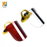 阿祺果 面罩 A1 个