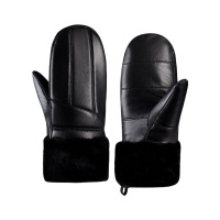 阿祺果 手套 T3 双