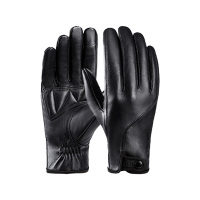 阿祺果 手套 H5 双