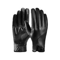 阿祺果 手套 H5 双