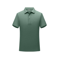 阿祺果 POLO衫 A201 件