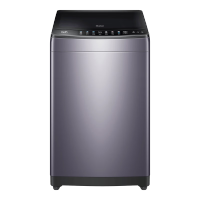 海尔(Haier)波轮洗衣机10公斤容量 全自动家电 脱水机 直驱变频电机 双动力防缠绕 ES100B35Mate5