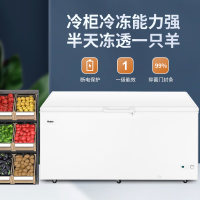 海尔大冷冻冰柜商用大容量冷藏冷冻转换强效抑菌冷柜深冷速冻保鲜冰柜冰箱 BC/BD-429GHP