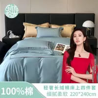 东纺拾光轻奢长绒棉床上四件套220*240cm 苍青色(单位:套)DF2004