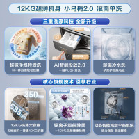 小天鹅（LittleSwan）小乌梅2.0洗衣机滚筒全自动12KG 超微净泡水魔方智能投放1.1TG120S83PRO