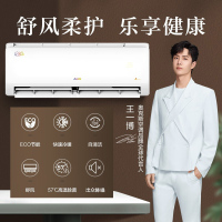 [当天发货]奥克斯(AUX) 大1匹 家用空调挂机 新能效省电变频冷暖 KFR-26GW/BpR3AQE1(B3)