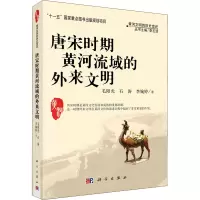 唐宋时代黄河流域的外来文明