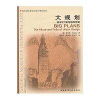 大规划:城市设计的魅惑和荒诞