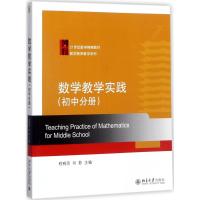 数学教学实践(初中分册)