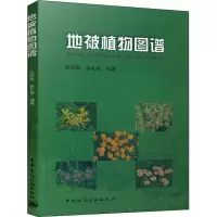 地被植物图谱