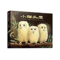 信谊图画书:小猫头鹰