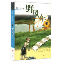 曹文轩纯美小说系列:野风车