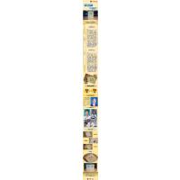 中国近代史(1919-1949)