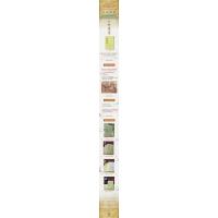 二十四史系列:北齐书(全2册)